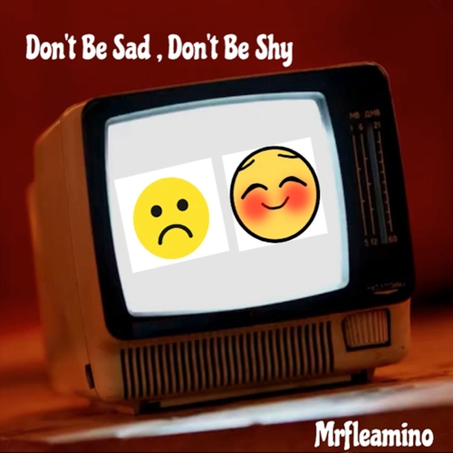 Mrfleamino - Don't Be Sad ,Don't Be Shy [1464494]